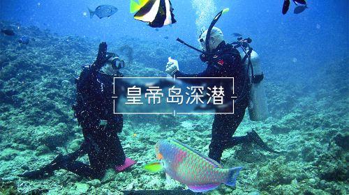 逃离牧场房子