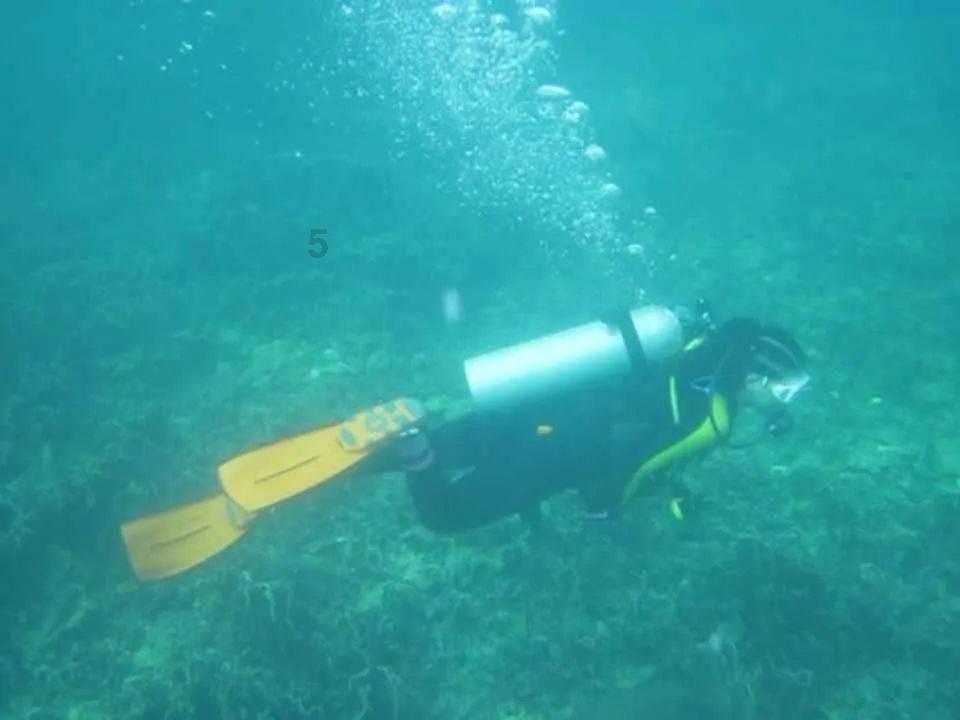 如何温柔地表达我想你了？游戏画面