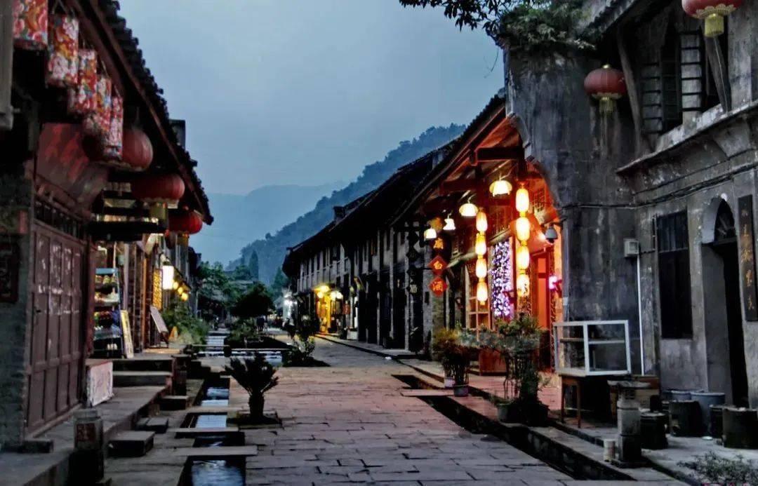 动物帮帮忙保卫家园