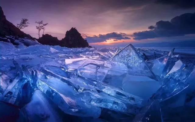 虫虫助手下载